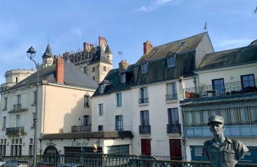 Vue incroyable Loire et Chateau - Foto 39