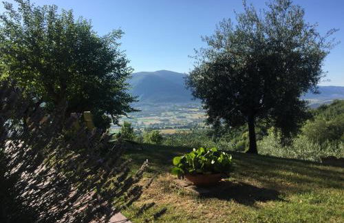 Casale degli ulivi - Foto 23