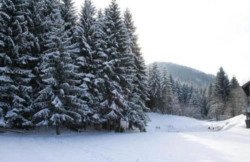 Apartments Nino - Foto 25