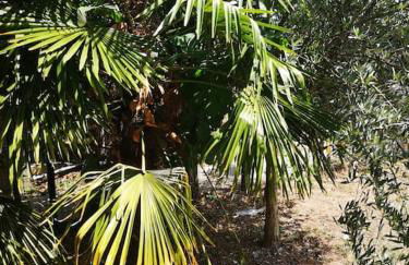 JO2024-25min to stade de France - Foto 18