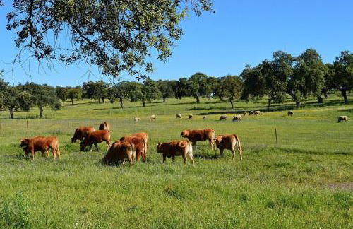 Cortijo Charcollana - Foto 47