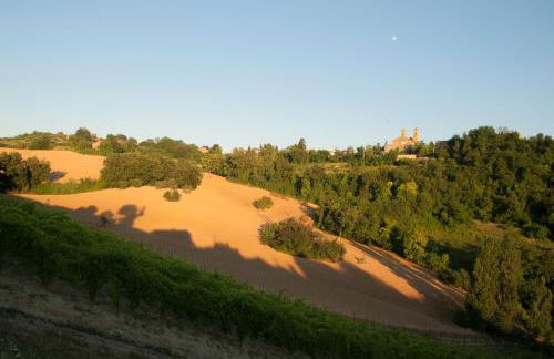 Biancopecora - Foto 28