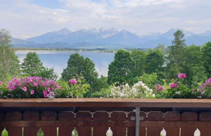 Landhaus Amberg Hopfen am See // Hopfensee // Füssen - Foto 12