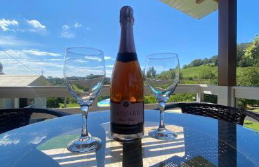 Casa no Vale dos Vinhedos em Bento Gonçalves - Foto 28