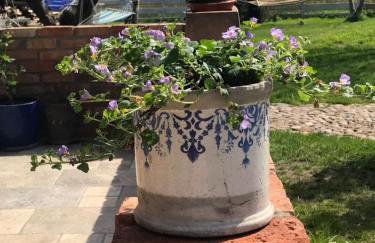 Zagroda w Puszczy - Photo 25