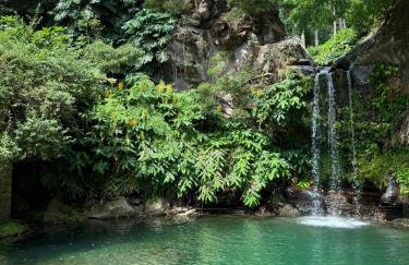 Casa da Cascata do Segredo - Foto 1