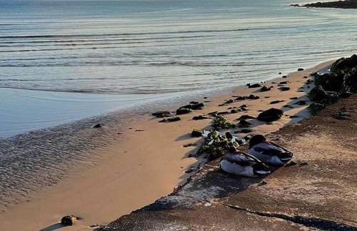 Moray View, Macduff, Aberdeenshire. - Foto 65