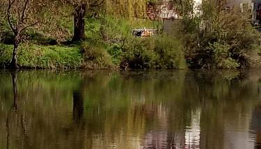 Ferienwohnung 3 - Foto 1