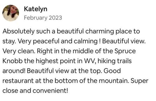 Cabin in the woods w/ WIFI close to Monongahela National Forest - Foto 8