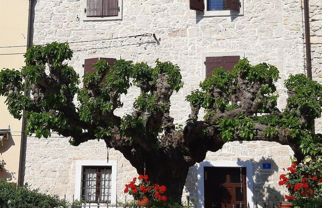 Casa Girasole - Foto 15