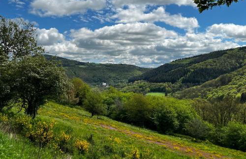 rausZeit - Quartier Pantenburg - Foto 10