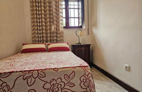 Espinaleo C21A01 by R2R Consulting - Foto 13