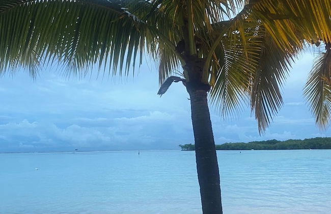 CALLE DUARTE NO.25 - Foto 14