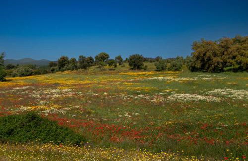Casa de campo "La Campanera" - Photo 26