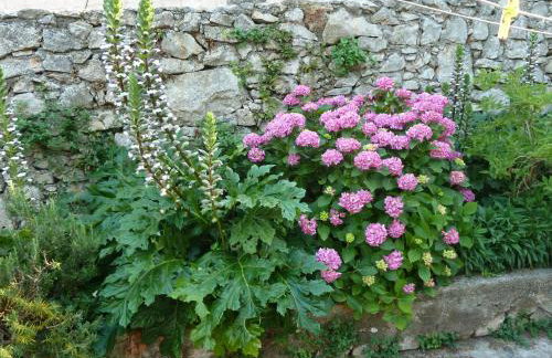 Apartment Nada - Foto 40