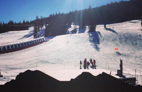 Bluebird Day - Cascadia Craftsman - Foto 24