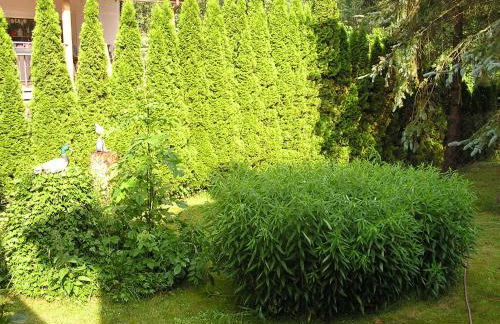 Peeneurlaub - Foto 75