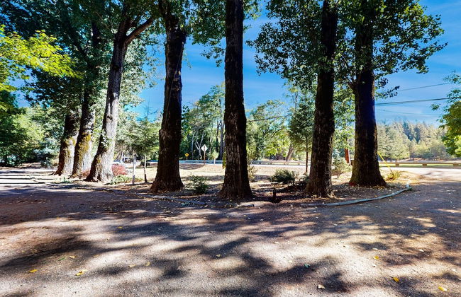 Rouge Cobb Mountain Cabins - Photo 44