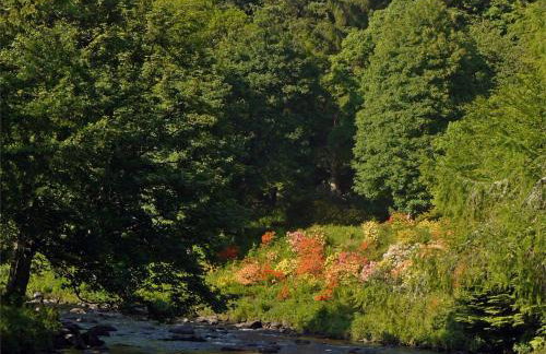 2 Bed in Birnam CA266 - Foto 13