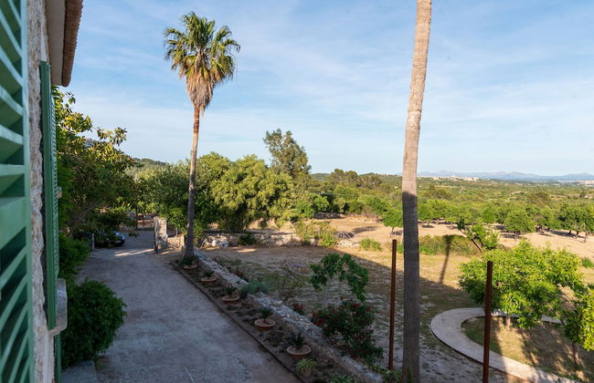 Agroturisme Subies - Photo 6