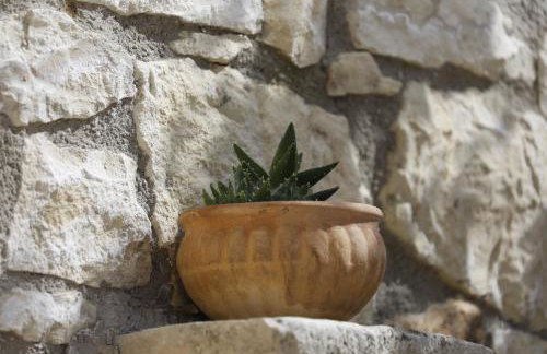 Tholos by Praxithea Stone House & Pool - Foto 34