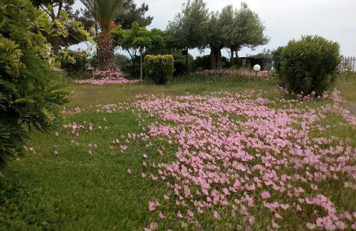 Entire Appartment 50m from sea - Spiros - Photo 24