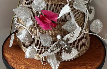 Villa Bonnabel - Photo 23