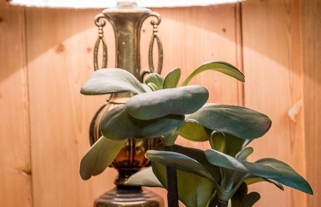 Avalon House - Foto 37