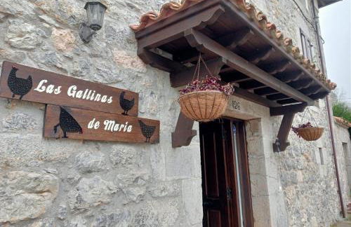 Las Gallinas de María - Foto 42