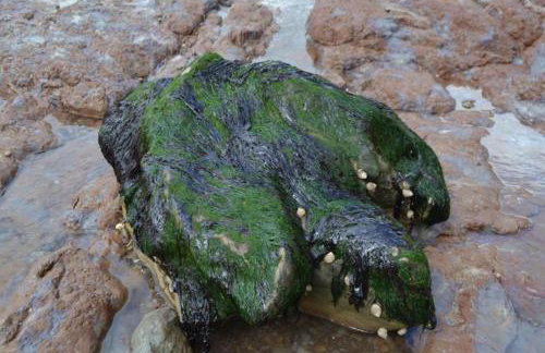 Tin tabernacle perfect for group getaways - Foto 75