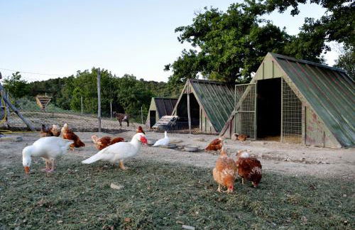 Tenuta di Forte Sorgnano - Foto 30