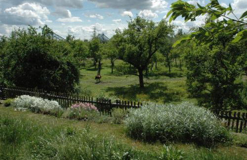 Dichterhaus Dresden - Foto 11