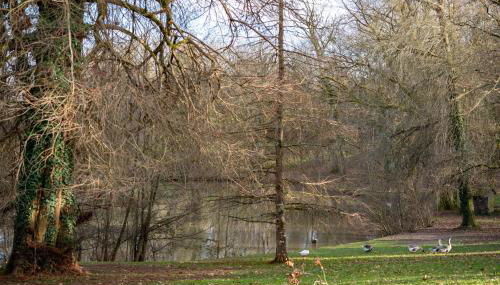 À La Motte - PARC - Foto 2