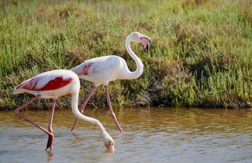 Exclusivo Chalet a Pie de Costa - Foto 56