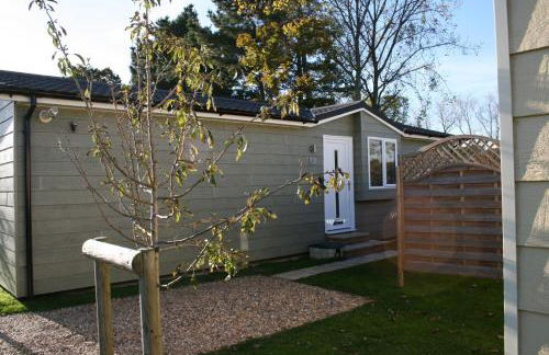 Golden Cross Holiday Park - Foto 42