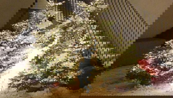 Apartments Hofmann - Photo 2, Primary image