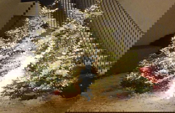 Apartments Hofmann - Photo 1