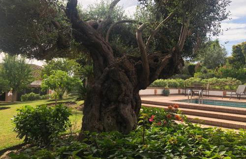 Authentic Andalucia - Photo 45