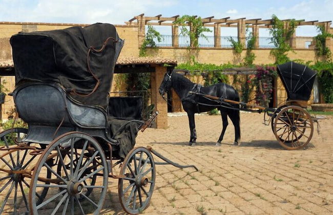 Masseria Provenzani - Foto 66