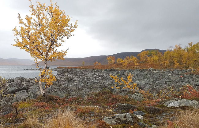 Willa kiiruna - Foto 24