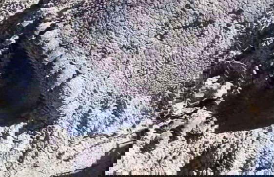 Museo Paleontológico y Arqueológico + Valle de los Gigantes - Foto 5