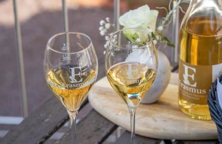 Erasmus 1901 Apartments - Foto 30