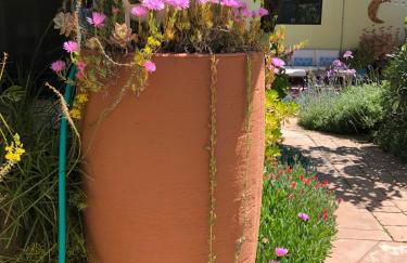 Downtown Solvang l Most Desired Home l 2BR - Foto 21