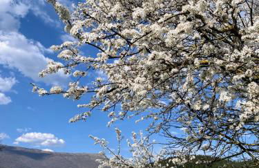 Accanto a Firenze - Foto 21