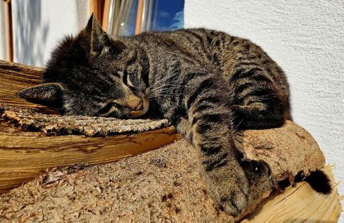 Malterlehen-Berchtesgaden - Foto 62