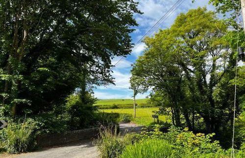 Tig Cottage - a rural, quirky, pet friendly 2 bedroom cottage near Ballantrae - Foto 58