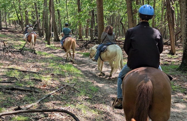 View Haven - Amazing View - Foto 14