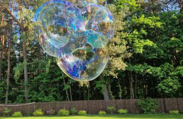 Łap Las Pelnik - Photo 20