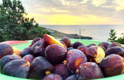 Korés House - Foto 42