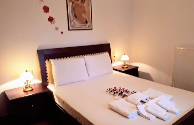 Antonia House - Photo 3